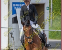 BULLE 0296